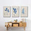 Algues bleu marine VI-91887797-91887800
