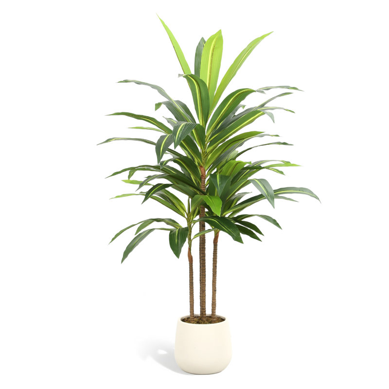 Arbre Dracaena artificiel 47 pouces avec pot de PP blanc gratuit - plante verte pour la décoration intérieure de la maison, du bureau et du salon