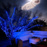 Nayelys 4 Light String Lights
