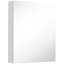W H Medicine Cabinet Mirror