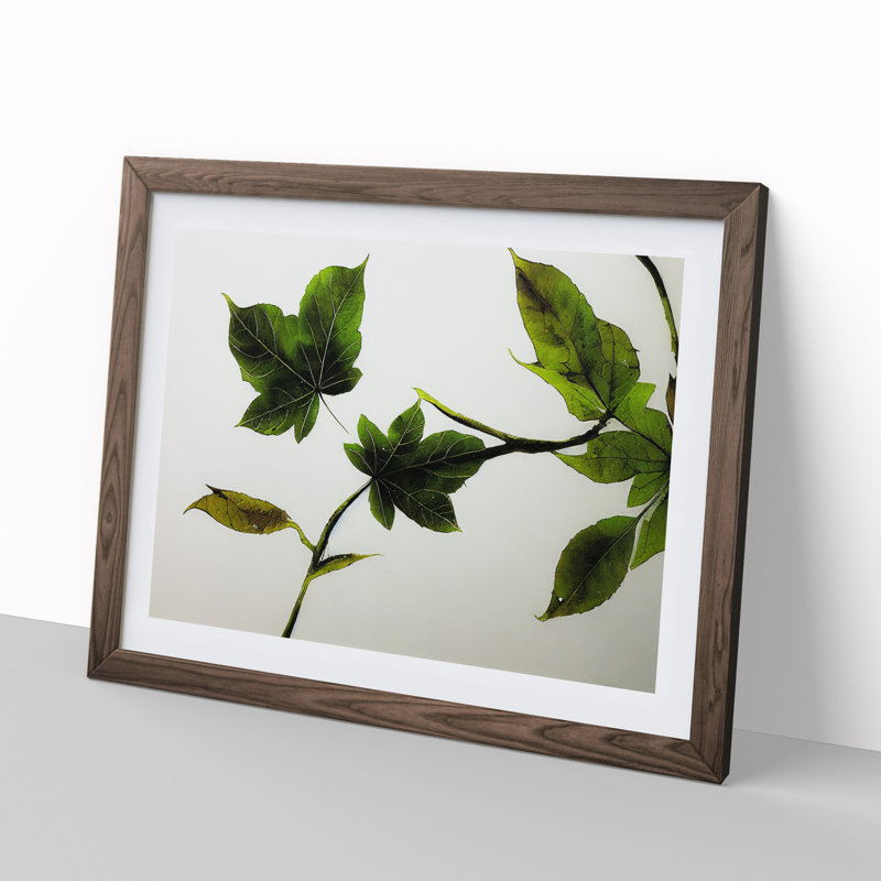 Garden Leaves - Single Picture Frame Print, 25cm H x 34cm W x 2cm D, Walnut Framed