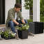 Boîte à fleurs cubique noire en résine tressée de 11 po avec insert SOLHome - pot de fleurs décoratif pour l'extérieur