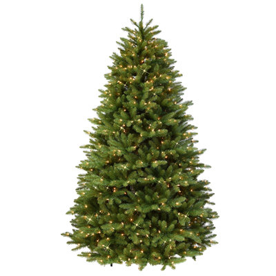 Fraser 90' Lighted Artificial Fir Christmas Tree
