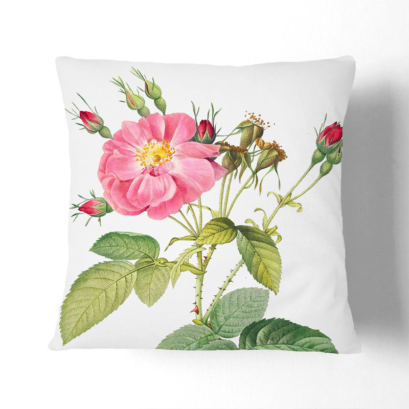 Square Throw Cushion, Black, 55cm H x 55cm W x 20cm D