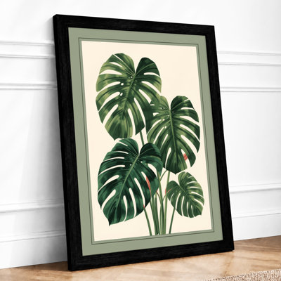Monstera Study Botanical - Framed Print