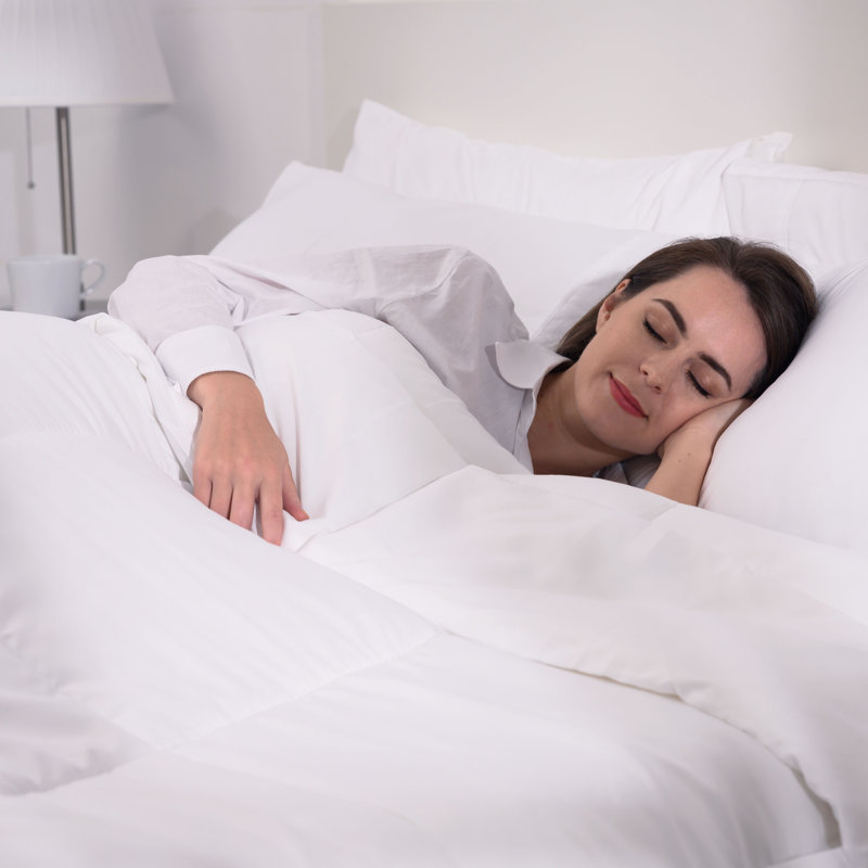 Taie d'oreiller en microfibre douce - Basics by Wayfair ™, Standard, Blanc