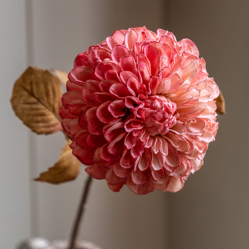 Faux Stem Dahlia Orange 730mm (6pk), Apricot