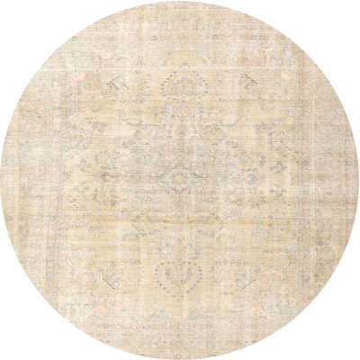 Oriental Indoor Rug