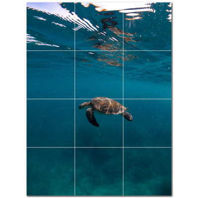 Turtle Photo 4.25'' x 4.25'' Satin Ceramic Decorative Mural