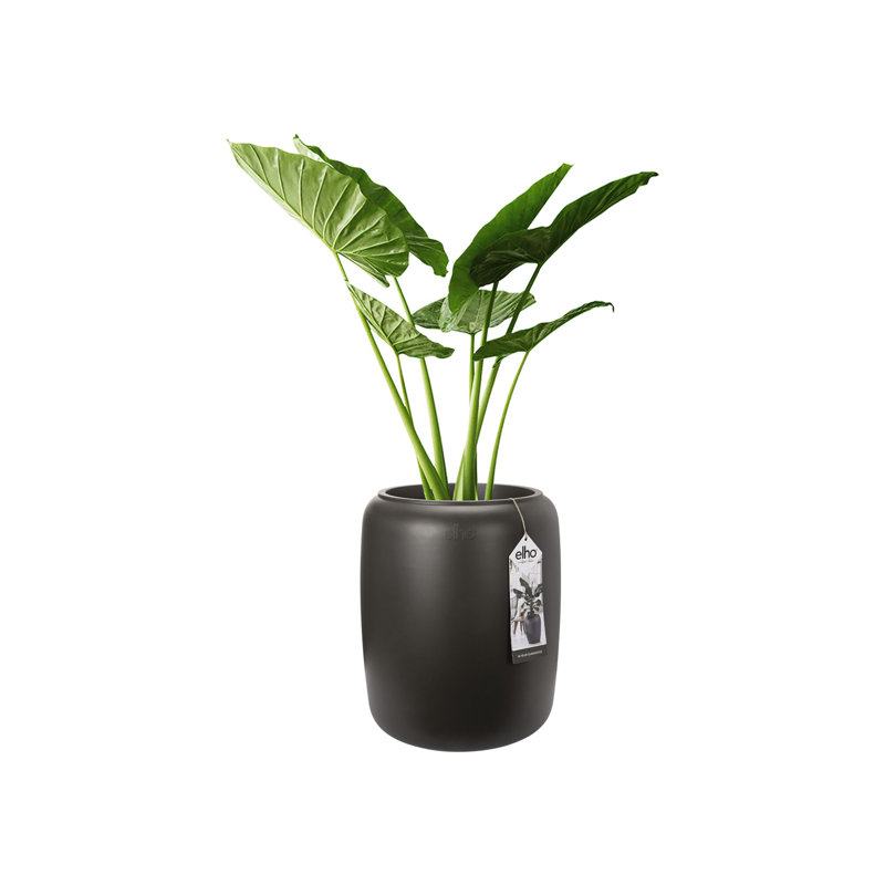 Pure Beads Pot Planter, Black, 47.6 H x 39.2 W x 39.2 D