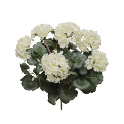 White 18"nat Geranium Bush 20lv