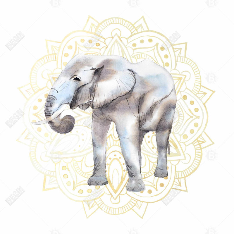 " Elephant On Mandalas Pattern "