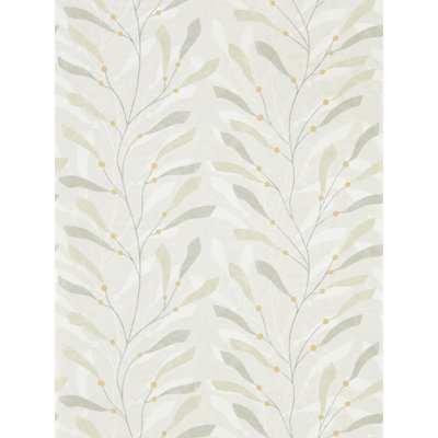 Sea Kelp