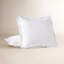 Refined Organic Percale Sham-103282588-108606892