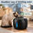 85oz/2.5L Automatic Indoor Pet Fountain with an LED light and water-level window, designed as a drinking dispenser for cats, pets, and small animals.