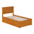 Madison Solid Wood Platform Bed with Panel Footboard and Trundle-121602833