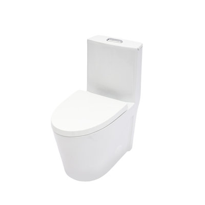 Ceramic One Piece Toilet for Bathroom, 12-inch Rough-In, 1.24/1.6 GPF, Dual Flush with Soft Clsoing Seat, Powerful Dual Flush MAP 800g