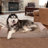 Orthopedic Fleece Pet Bed-91893261-91893269