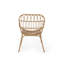 Chaise Harlem