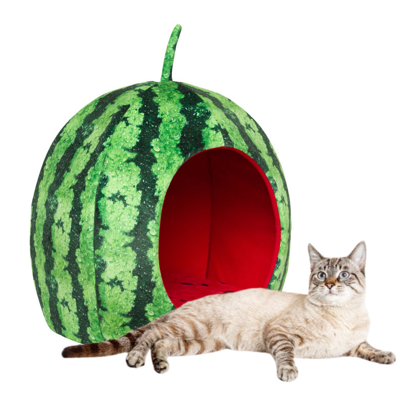 Lit pour chien Tucker Murphy Pet ™ Melon d'eau