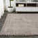 Anttwan Solid Shag Beige Rug