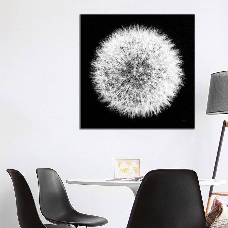 Dandelion On Black I by Aledanda - Wrapped Canvas Print, 93.98 cm H x 93.98 cm W x 1.91 cm D