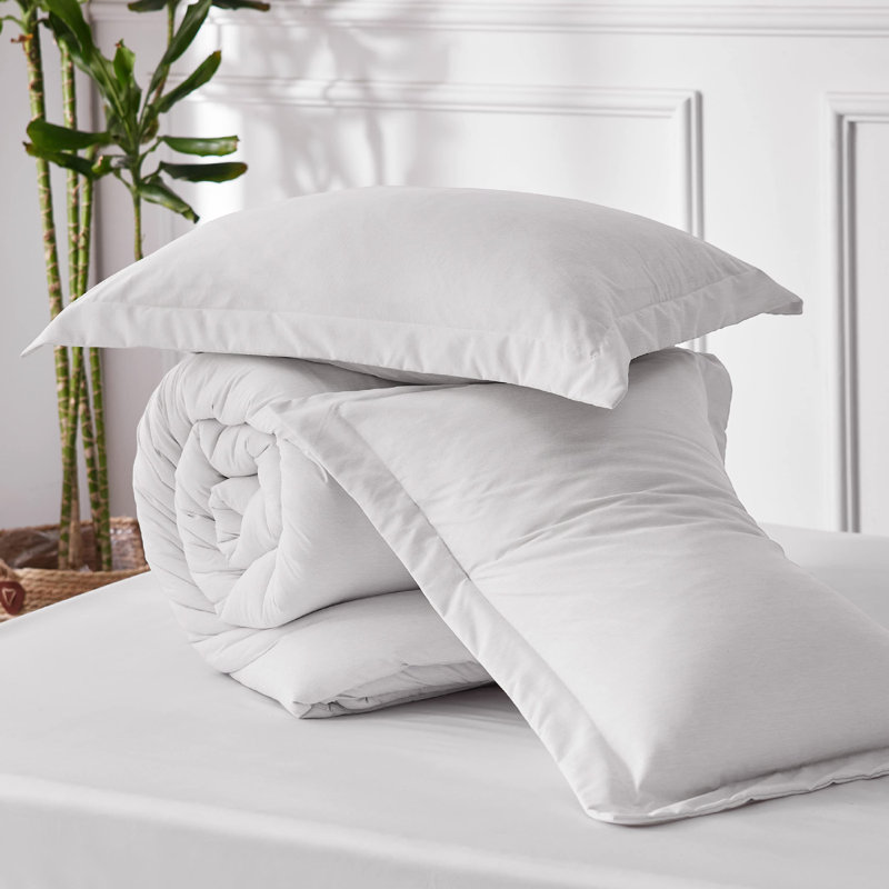 Bedsure Comforter Set - Soft Bedding for All Seasons, Cationic Dyed Bed Set, Grayish White, Queen Comforter + 2 Pillow Shams
