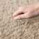 Petaluma Solid Colour Shag Area Rug