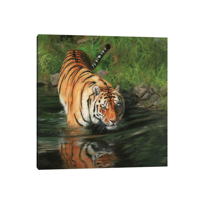 Tiger Entering River by David Stribbling - Wrapped Canvas Gallery-Wrapped Canvas Giclée, 45.72 cm H x 45.72 cm W