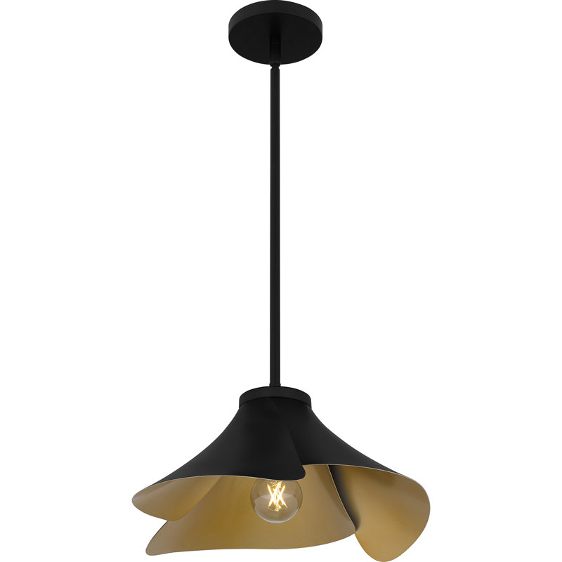 Luminaire suspendu 1 lumière Jovank, Noir mat