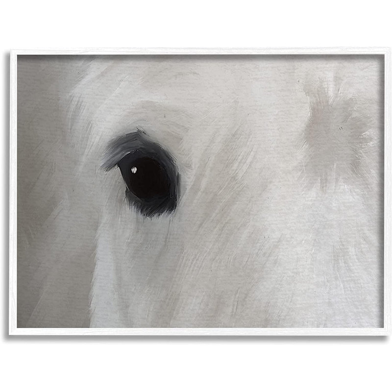 Gros plan sur un étalon sauvage blanc, Giclée encadrée blanc bord de mer, H 11 po x l 14 po