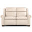 Chester Reclining Loveseat-1083313094