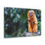 Wall Art on Canvas-1037127734