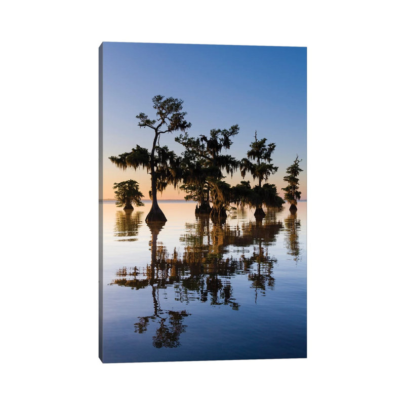 View of Pond Cypress Blue Lake, Florida, USA 1 Piece Wrapped Canvas Wall Art, 101.6 cm H x 66.04 cm W x 3.175 cm D