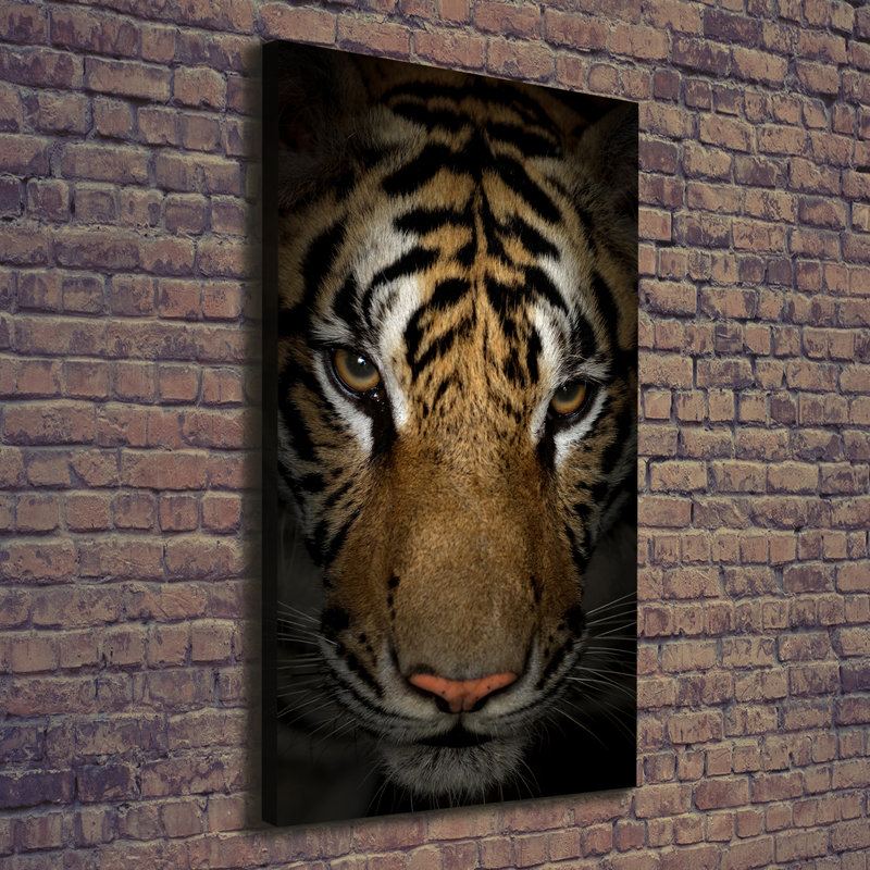 Tiger - Wrapped Canvas Print