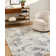 Kirima Machine Woven Area Rug
