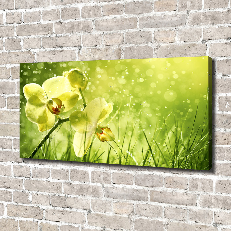 Orchid - Wrapped Canvas Print, Canvas, 70cm H x 140cm W