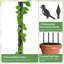 2 PCS treillis de jardin pour plantes grimpantes pour plantes grimpantes, antirouille en métal enduit de polyéthylène