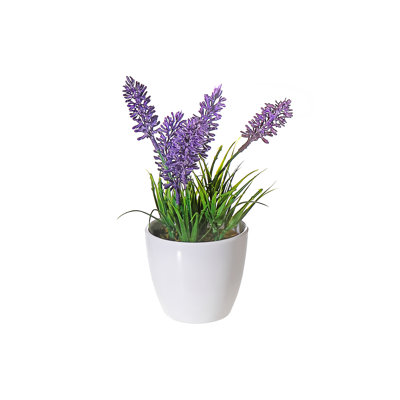 Arrangement floral lavande en pot