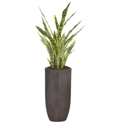 Panama 22.5'' Faux Agave Tree