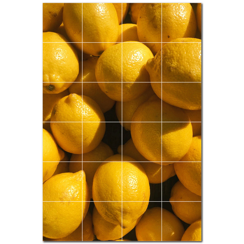 Photo de fruits 12 x 12
