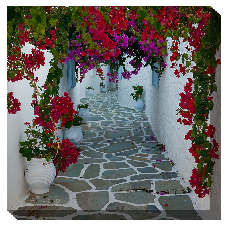 Art sur toile Bougainvillea