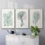 Antique Coastal Coral I, impression sur toile 3 pièces-91887269-91887262