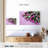 Harnek Purple Tulips-108887368