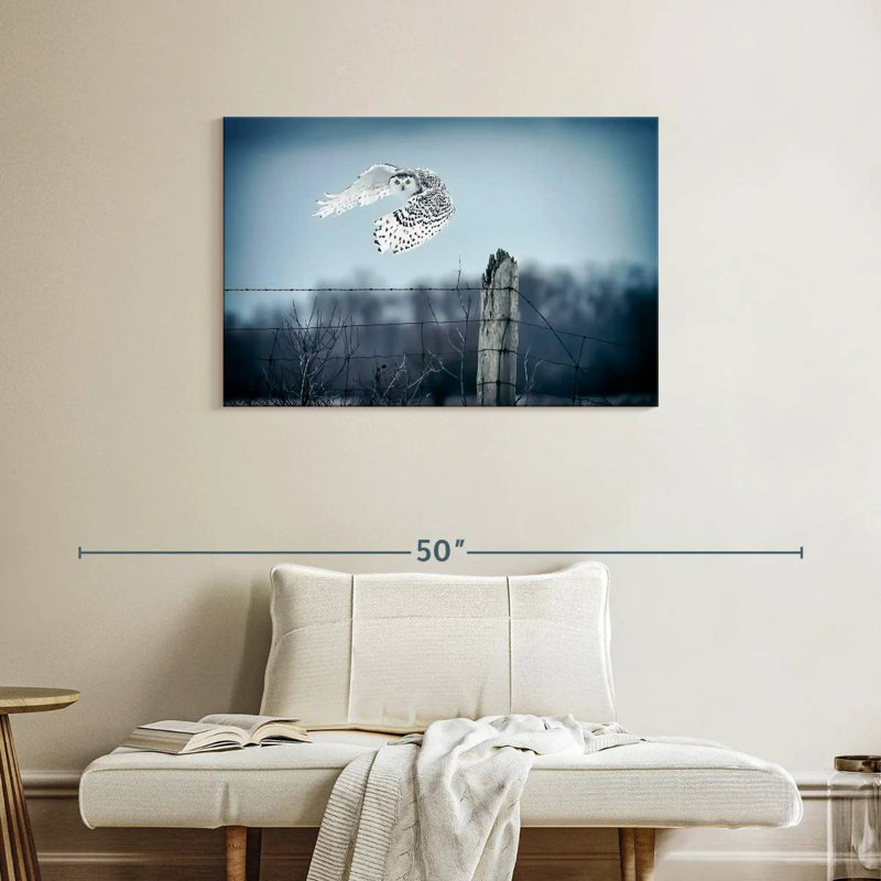 Brampt Winter Snowy Owl IV, 24" H x 36" W