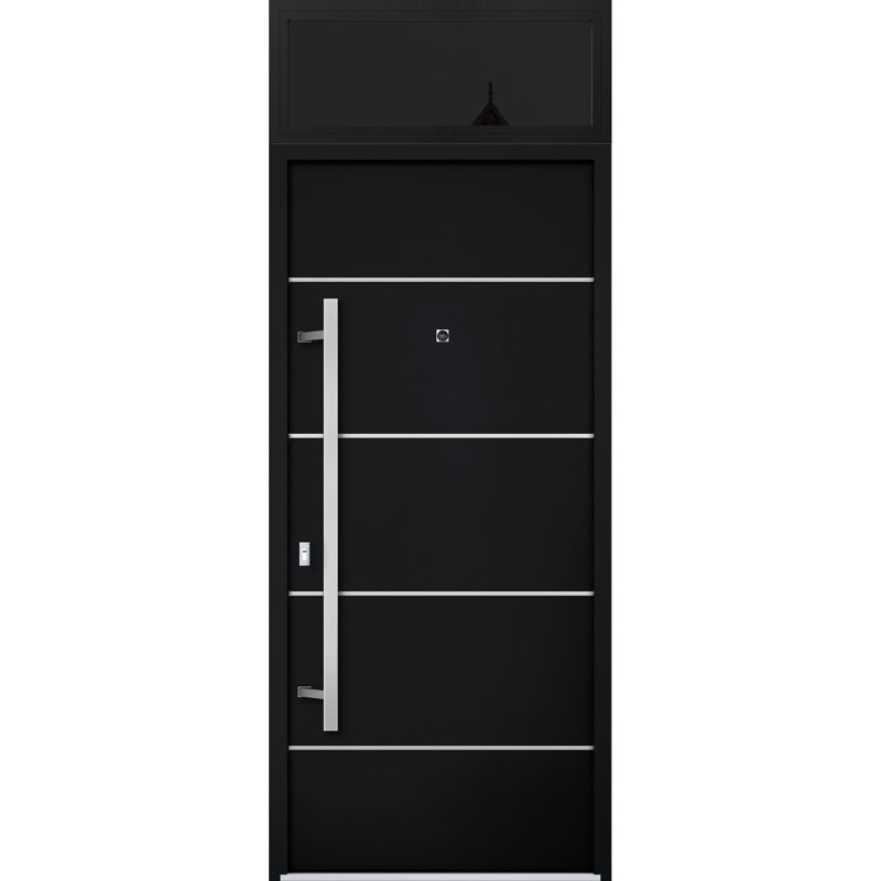 Modern Black Enamel Metal Exterior Prehung Door with Sidelites