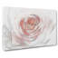 Pale Pink Rose In Abstract - Wrapped Canvas Painting-55312617