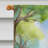 Tarece Double Sided 40'' H x 28'' W Polyester House Flag
