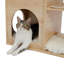 Meuble chat moderne de luxe pour chat