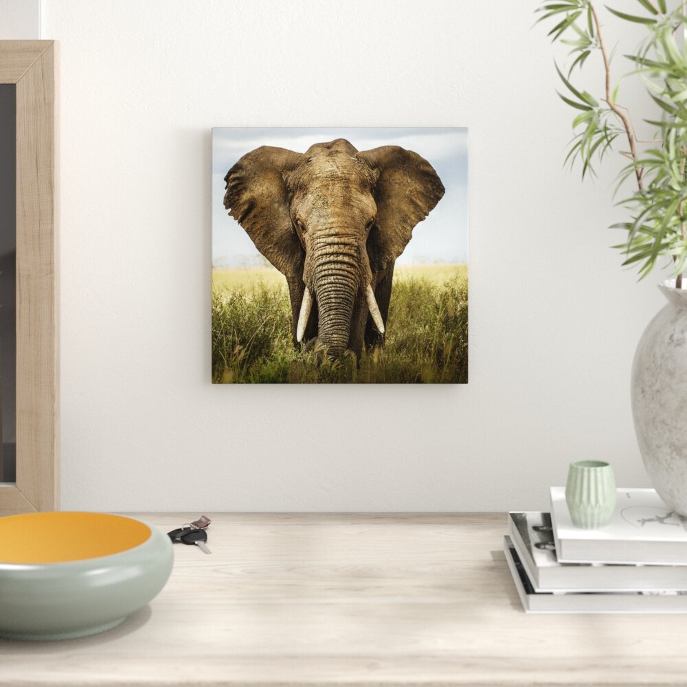 Leinwandbild Imposanter Elefant